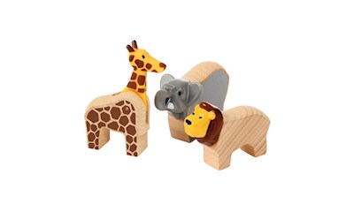 Safari Adventure Set